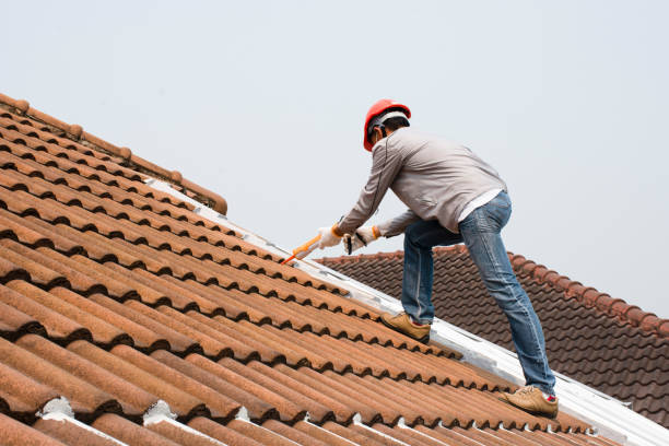 Best Metal Roofing Installation  in Maywood, IL